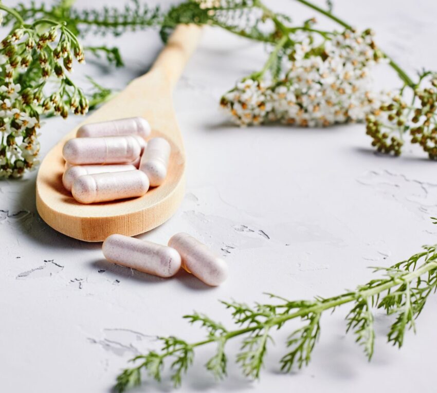 Unlocking the Potential of Mushroom Supplement A Journey to Wellness